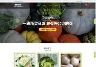 九龙坡营销网站